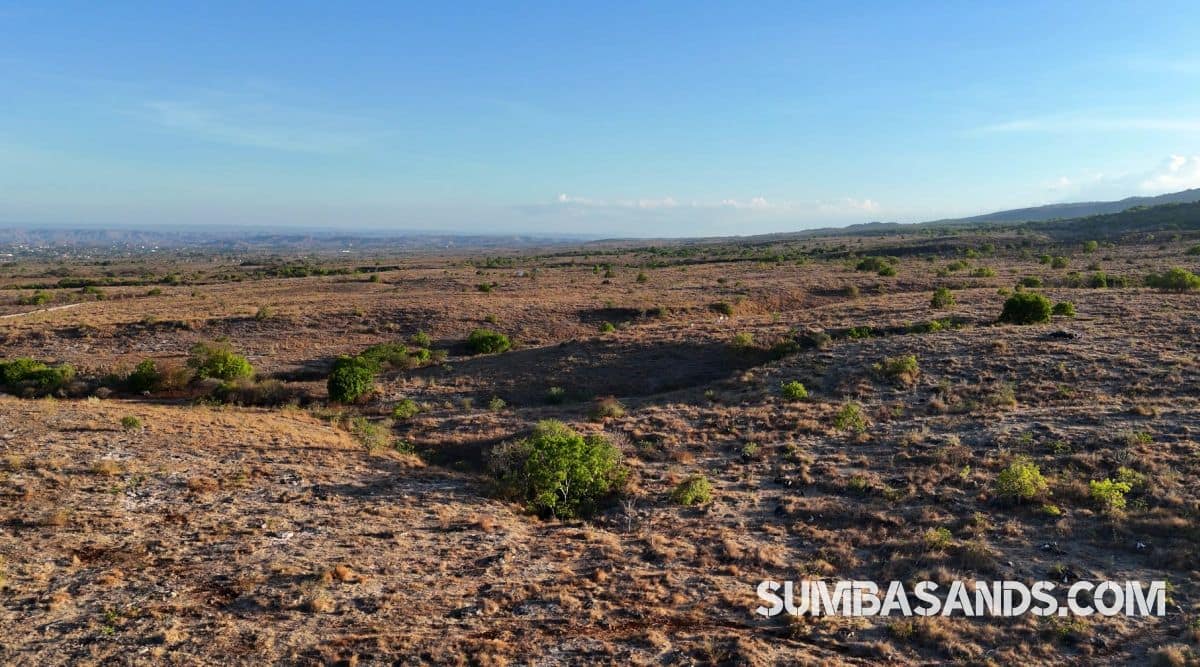 Premier 5-hectare Waingapu Hilltop Investment Land for sale in East Sumba. 360° ocean and hill views, 10 mins from airport. High growth zone. EUR 72,000.