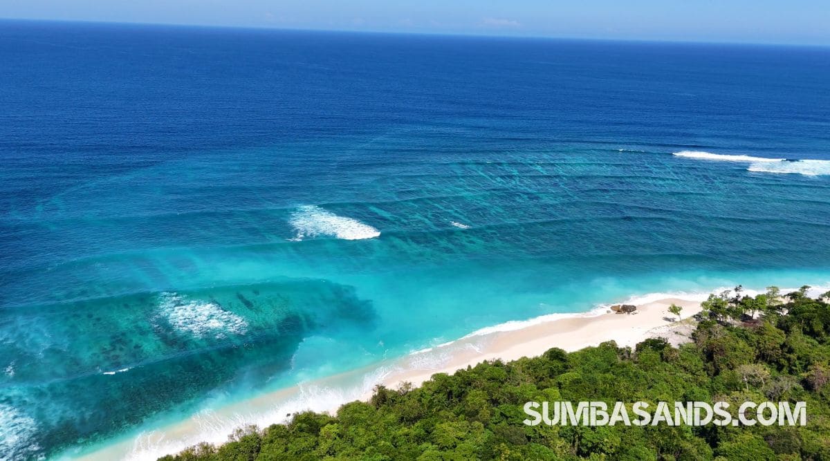 A breathtaking aerial drone photograph overlooking the pristine coastline of West Sumba. The image captures incredibly calm, vibrant turquoise ocean waters gently meeting bright white sandy beaches, bordered by dense, lush tropical green vegetation.
