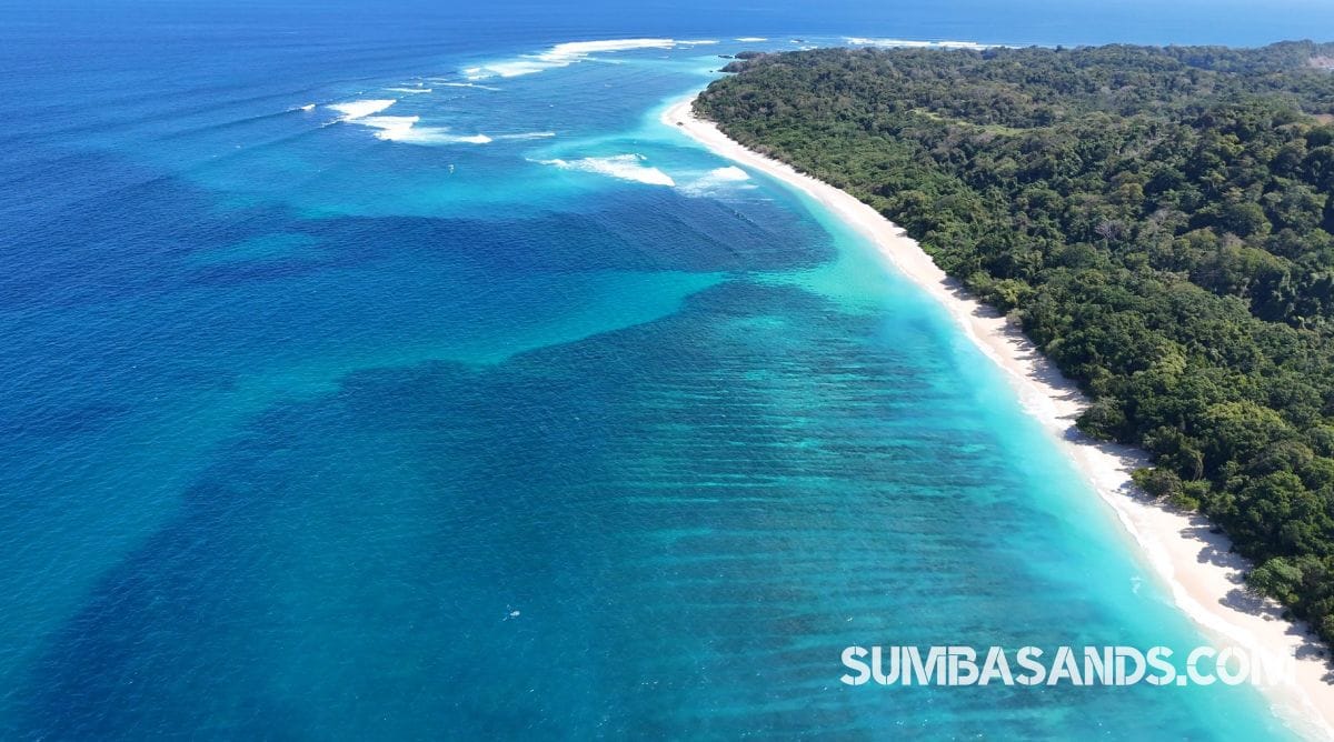 A breathtaking aerial drone photograph overlooking the pristine coastline of West Sumba. The image captures incredibly calm, vibrant turquoise ocean waters gently meeting bright white sandy beaches, bordered by dense, lush tropical green vegetation.
