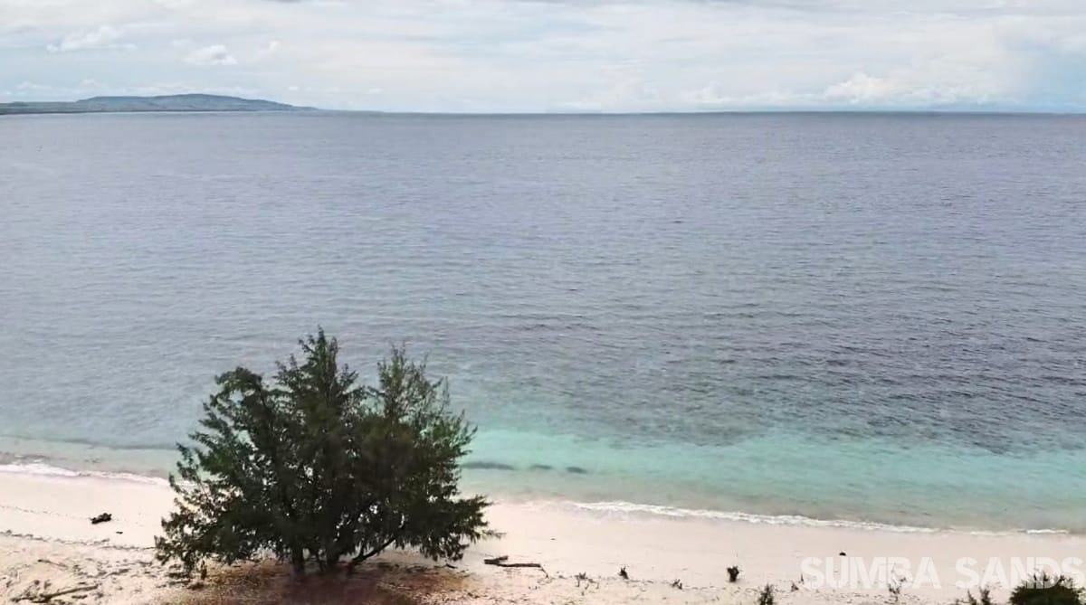 Hamba Praning 2ha beachfront land for sale in Sumba Indonesia