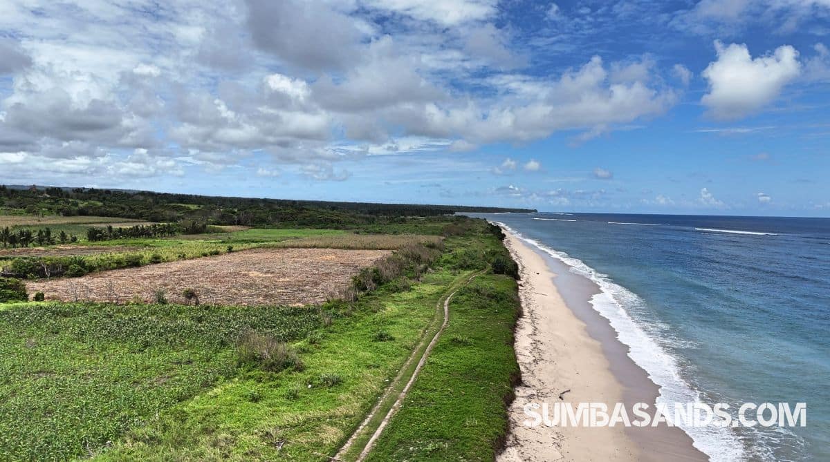 An aerial shot of the Ratenggaro Beach Access Plots. The image captures flat, lush land separated from the turquoise Indian Ocean by a government road in West Sumba.