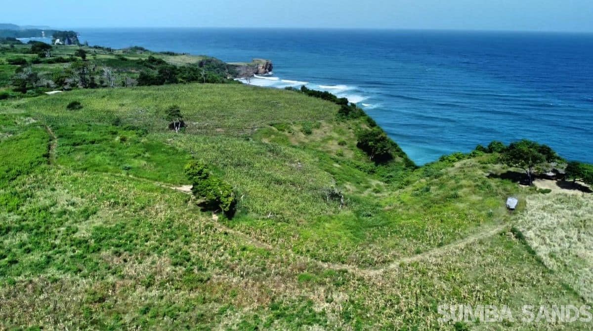 Sumba 12ha Clifffront Land for Sale – 1.2 km Ocean Frontage & Private Beach Access