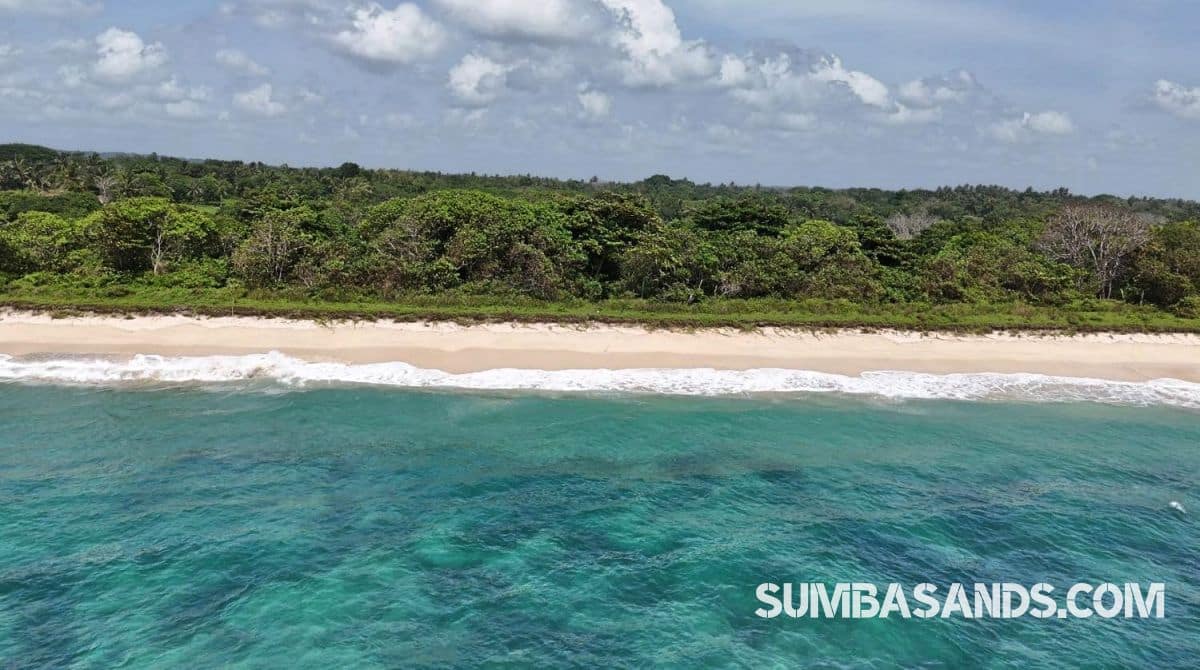 A massive aerial panoramic of the 6.6-hectare Wainyapu Virgin Beachfront Estate. The image captures miles of untouched white sand meeting crystal-clear turquoise waters and vibrant green coastal plains.
