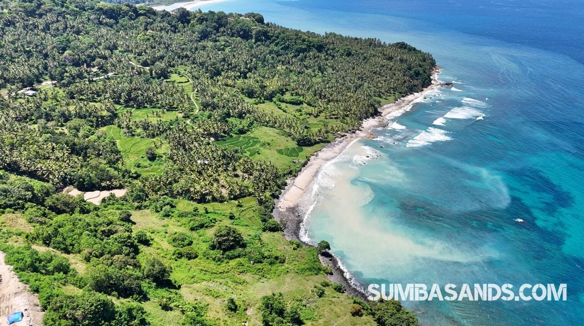 : A stunning drone shot of the 1.1-hectare Pahola Beachfront Cliff Estate, showing the lush green cliff edge meeting the turquoise waters of the Indian Ocean next to Rua Beach.