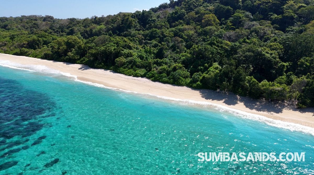 A breathtaking aerial drone photograph overlooking the pristine coastline of West Sumba. The image captures incredibly calm, vibrant turquoise ocean waters gently meeting bright white sandy beaches, bordered by dense, lush tropical green vegetation.