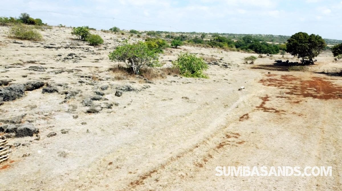 North Sumba Cliff Beachfront | 7ha Freehold Coastal Land in Indonesia