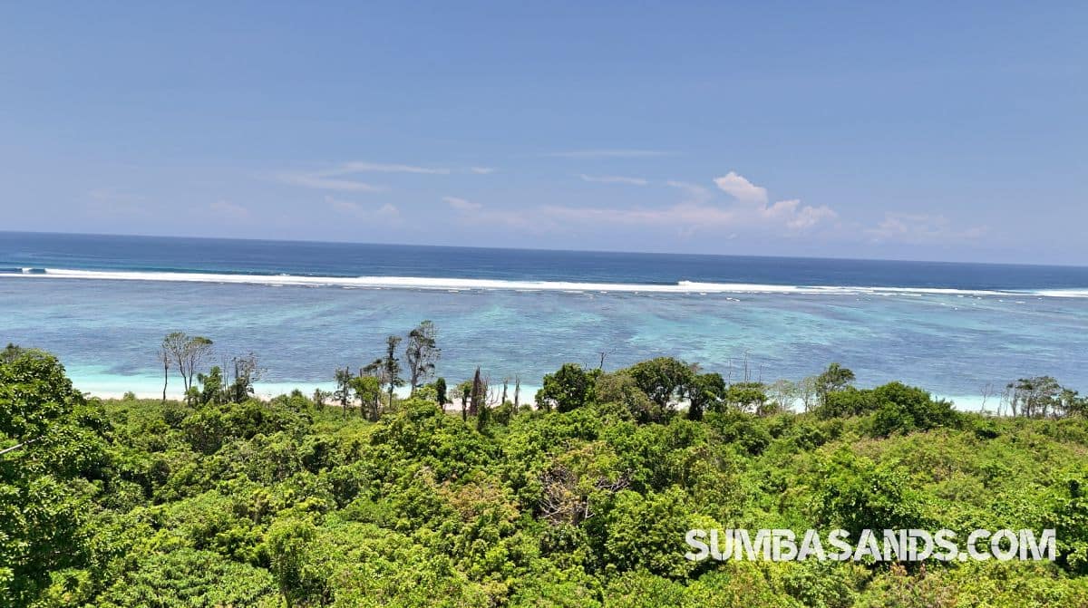 An expansive high-angle view showcasing the striking color contrast of the calm bay. The crystal-clear, shallow turquoise waters reveal beautifully textured coral reefs below the surface, stretching out toward the deep blue horizon under a clear sky.