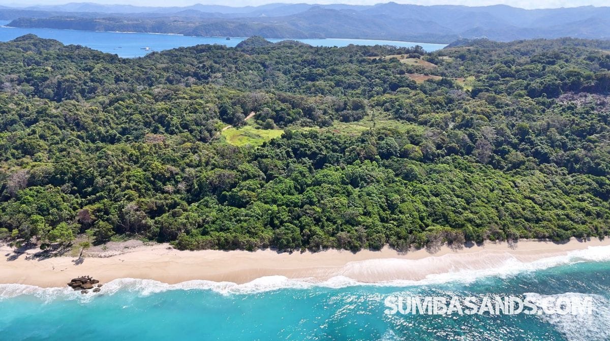 A breathtaking aerial drone photograph overlooking the pristine coastline of West Sumba. The image captures incredibly calm, vibrant turquoise ocean waters gently meeting bright white sandy beaches, bordered by dense, lush tropical green vegetation.