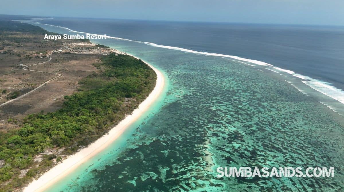 A breathtaking aerial drone photograph overlooking the pristine coastline of Kodi in West Sumba. The image captures vibrant turquoise ocean waters and shallow coral reefs gently meeting a bright white sandy beach, bordered by lush tropical green vegetation.
