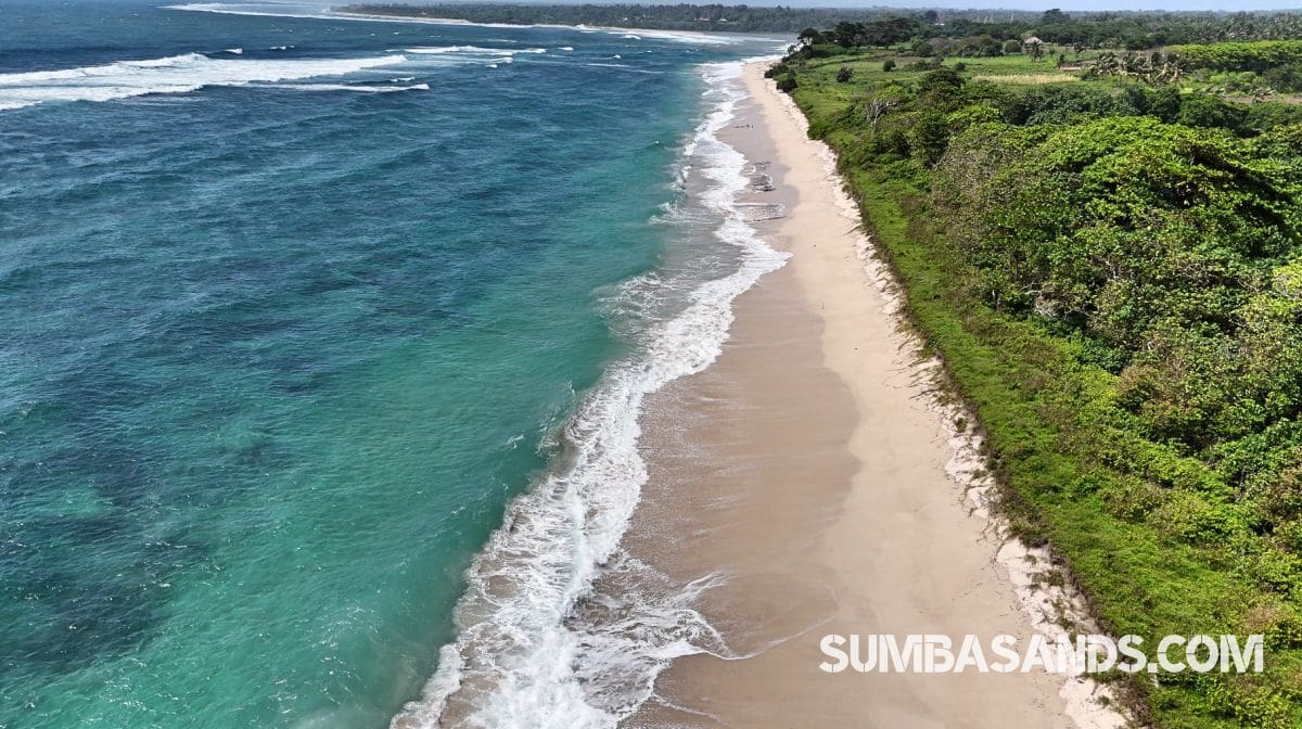 A panoramic aerial view of the Wainyapu Beachfront Surf Estate. The image captures flat, pristine land meeting the turquoise waters of the Indian Ocean, with a wide white-sand beach and the traditional high-roofed houses of Wainyapu village in the background.
