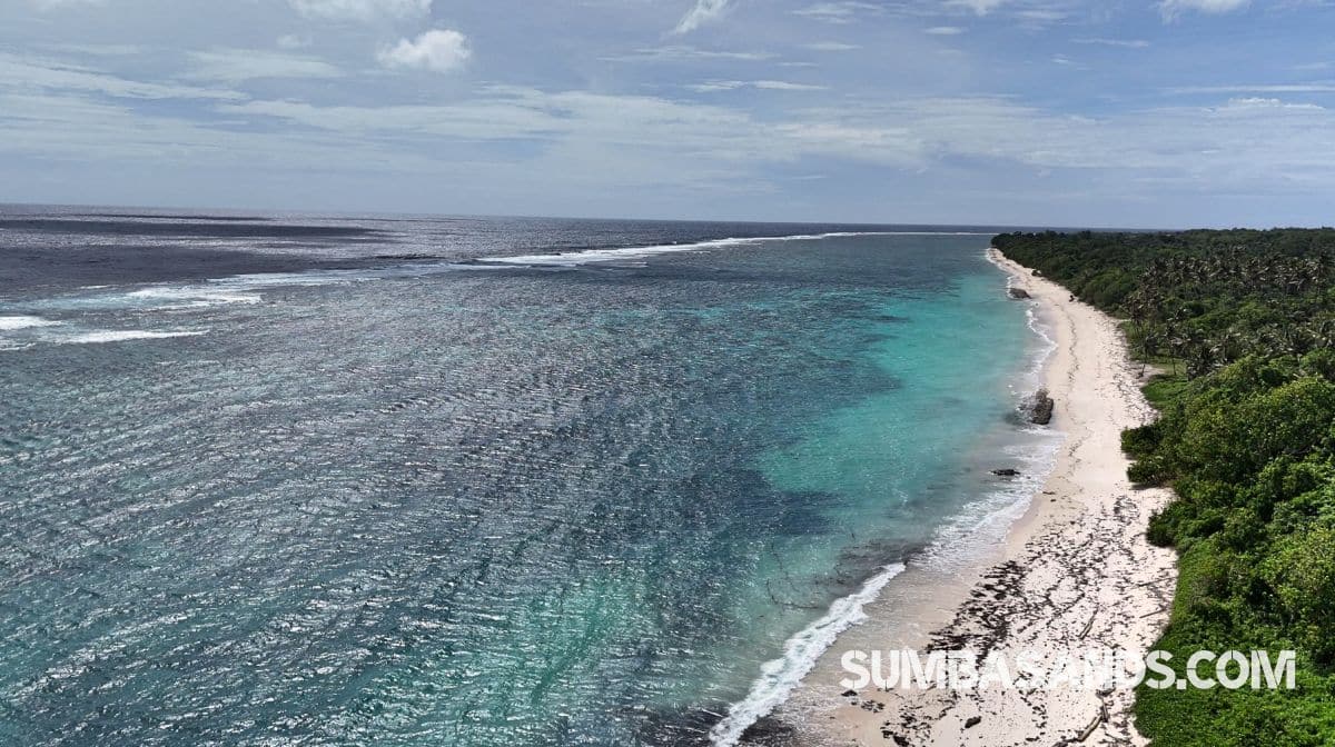 Pure beachfront. 0.5 hectares of untouched coastline for 25 per sqm.