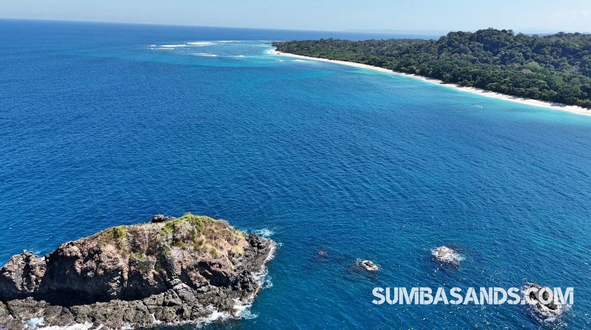 A breathtaking aerial drone photograph overlooking the pristine coastline of West Sumba. The image captures incredibly calm, vibrant turquoise ocean waters gently meeting bright white sandy beaches, bordered by dense, lush tropical green vegetation.