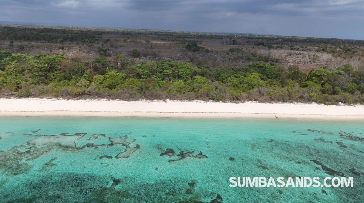 A breathtaking aerial drone photograph overlooking the pristine coastline of Kodi in West Sumba. The image captures vibrant turquoise ocean waters and shallow coral reefs gently meeting a bright white sandy beach, bordered by lush tropical green vegetation.