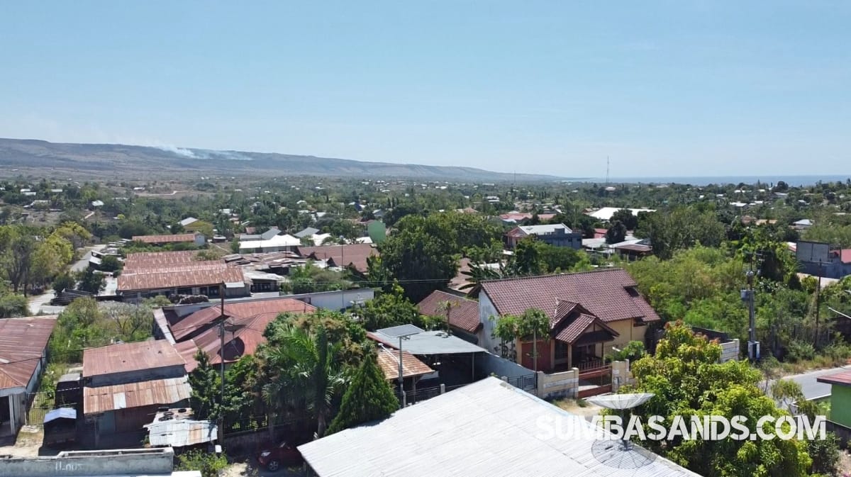 Profitable homestay in Waingapu Sumba with 80% occupancy, 11 rooms, and expansion potential. Rare city investment opportunity in East Sumba.