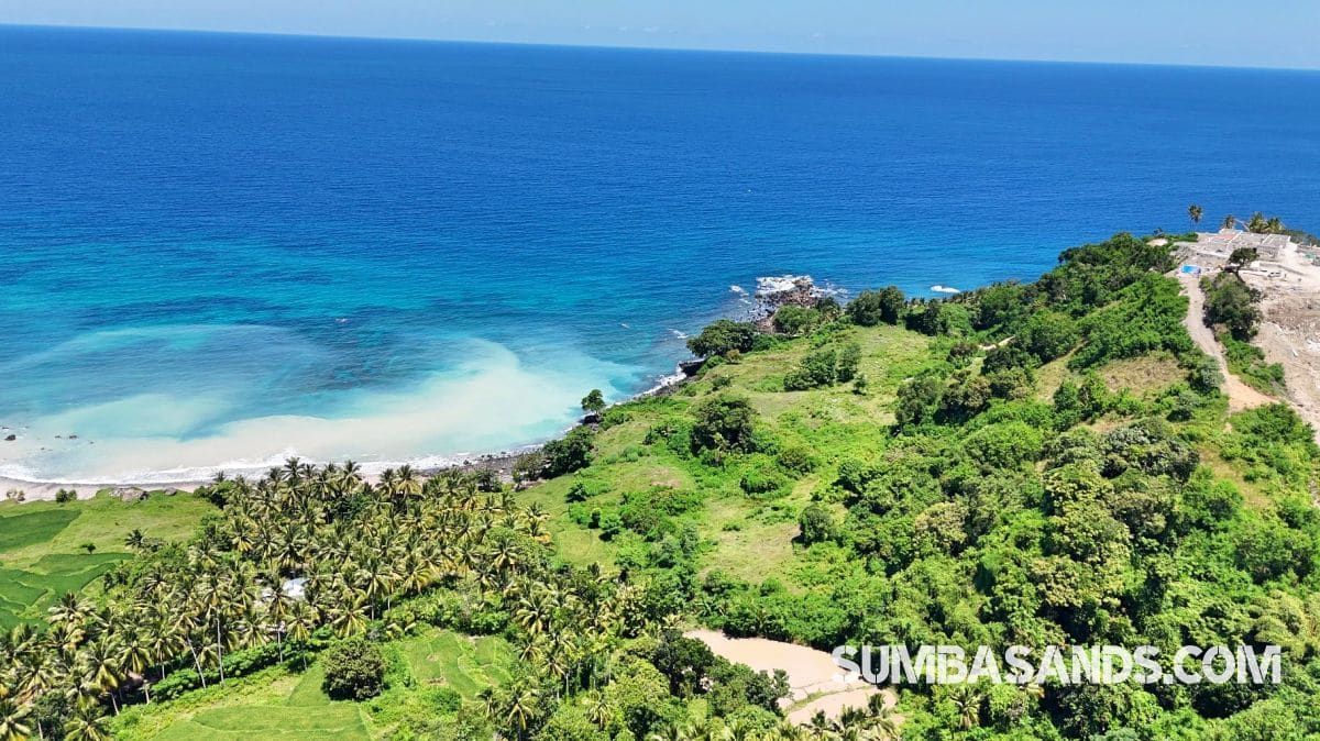 : A stunning drone shot of the 1.1-hectare Pahola Beachfront Cliff Estate, showing the lush green cliff edge meeting the turquoise waters of the Indian Ocean next to Rua Beach.