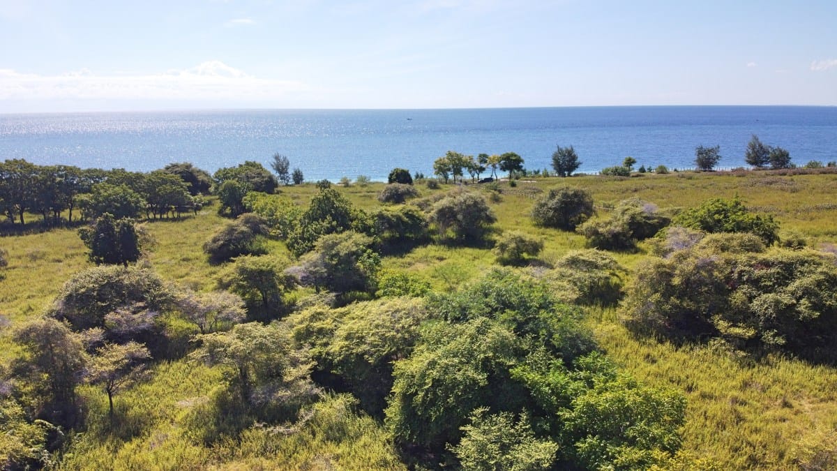 Own the last 2-hectare plot on the iconic Puru Kambera Beach, East Sumba. Flat, development-ready beachfront for EUR 210,000