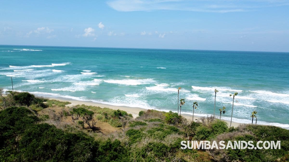 Southeast Sumba Surf Plots – 4 Beachfront Parcels for Sale