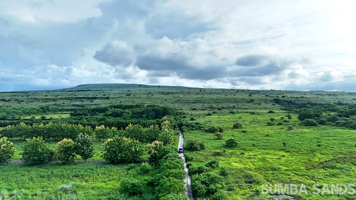Mananga Marapu hill plots for sale: two 0.5 ha freehold hilltop parcels with 360° ocean views, new access roads and high cultural value in East Sumba.