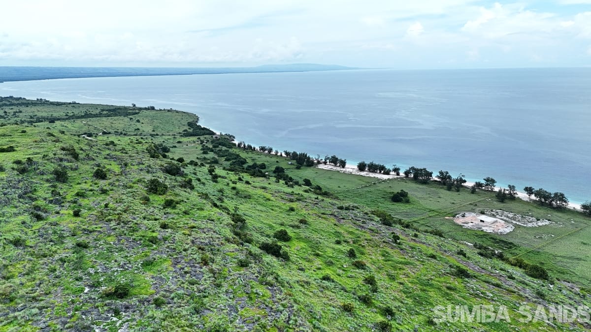 Mananga Marapu hill plots for sale: two 0.5 ha freehold hilltop parcels with 360° ocean views, new access roads and high cultural value in East Sumba.