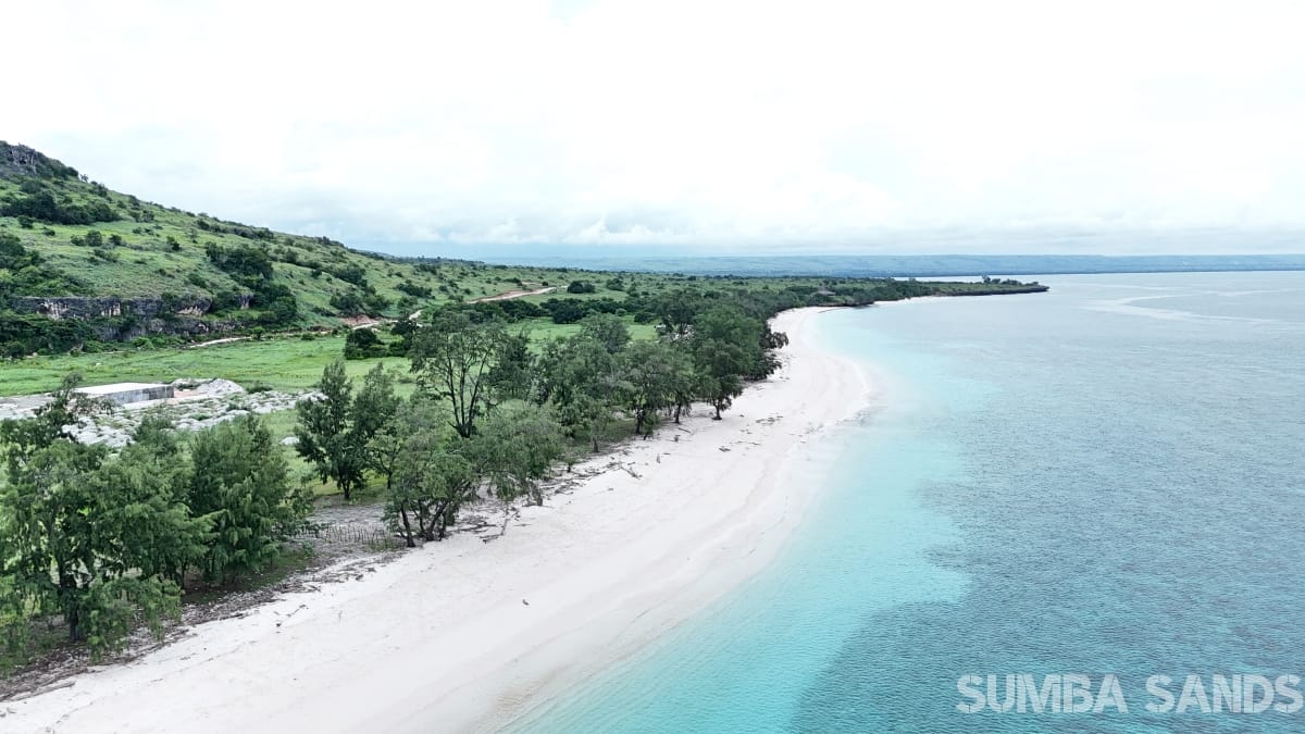 Mananga Marapu hill plots for sale: two 0.5 ha freehold hilltop parcels with 360° ocean views, new access roads and high cultural value in East Sumba.