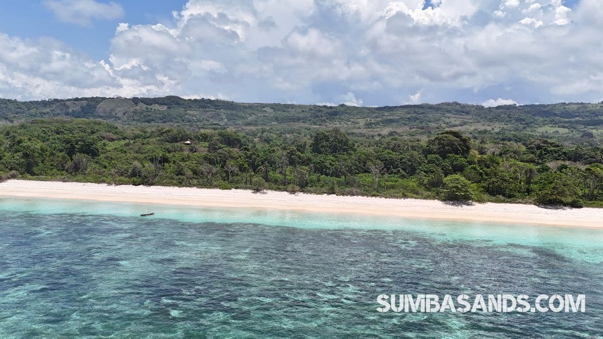 Oeboeoleta beachfront estate for sale: 12 hectares of freehold beachfront and ocean-view hill land in Southwest Sumba