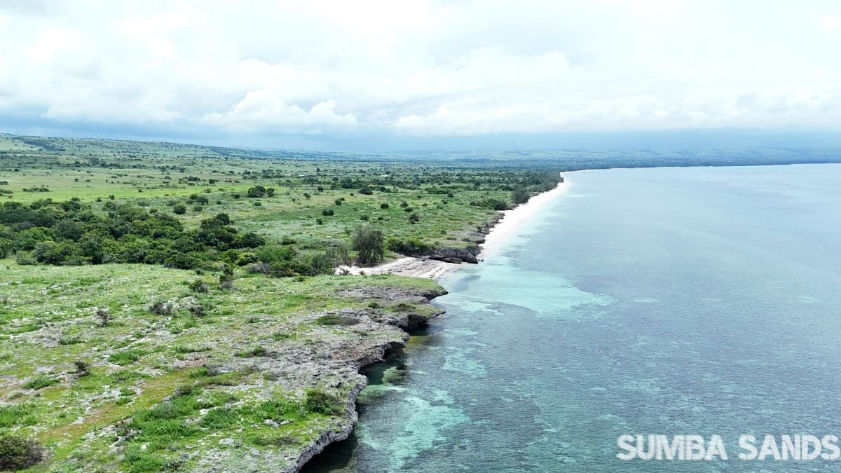Clifffront Land With Private Beach Access in Puru Kambera—20,000 sqm with ocean views, utilities, and high-growth investment potential.