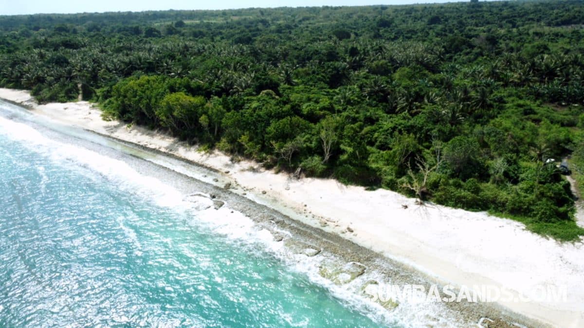 Kodi Beachfront Land Near Cap Karoso – 1.15ha for Sale
