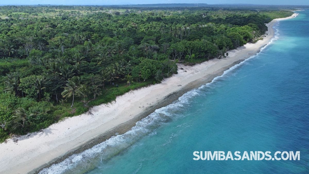 Kodi Beachfront Land Near Cap Karoso – 1.15ha for Sale