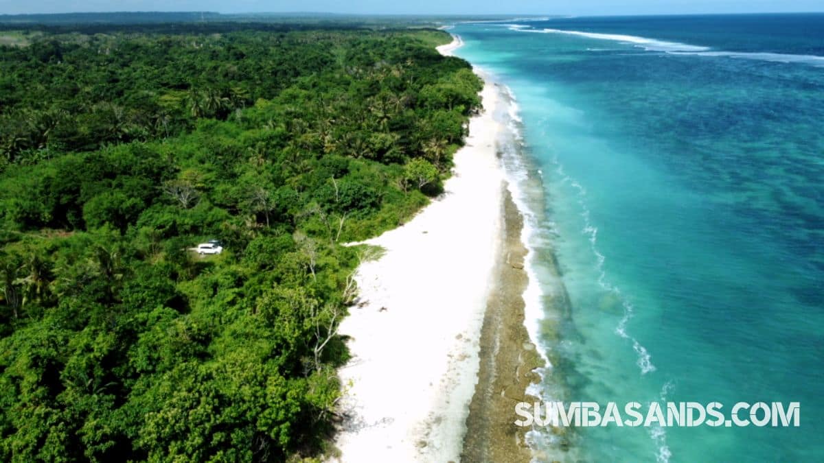 Kodi Beachfront Land Near Cap Karoso – 1.15ha for Sale