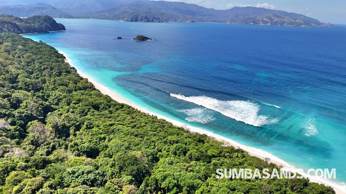 A breathtaking aerial drone photograph overlooking the pristine coastline of West Sumba. The image captures incredibly calm, vibrant turquoise ocean waters gently meeting bright white sandy beaches, bordered by dense, lush tropical green vegetation.
