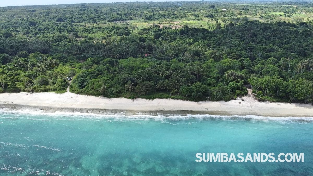 Kodi Beachfront Land Near Cap Karoso – 1.15ha for Sale