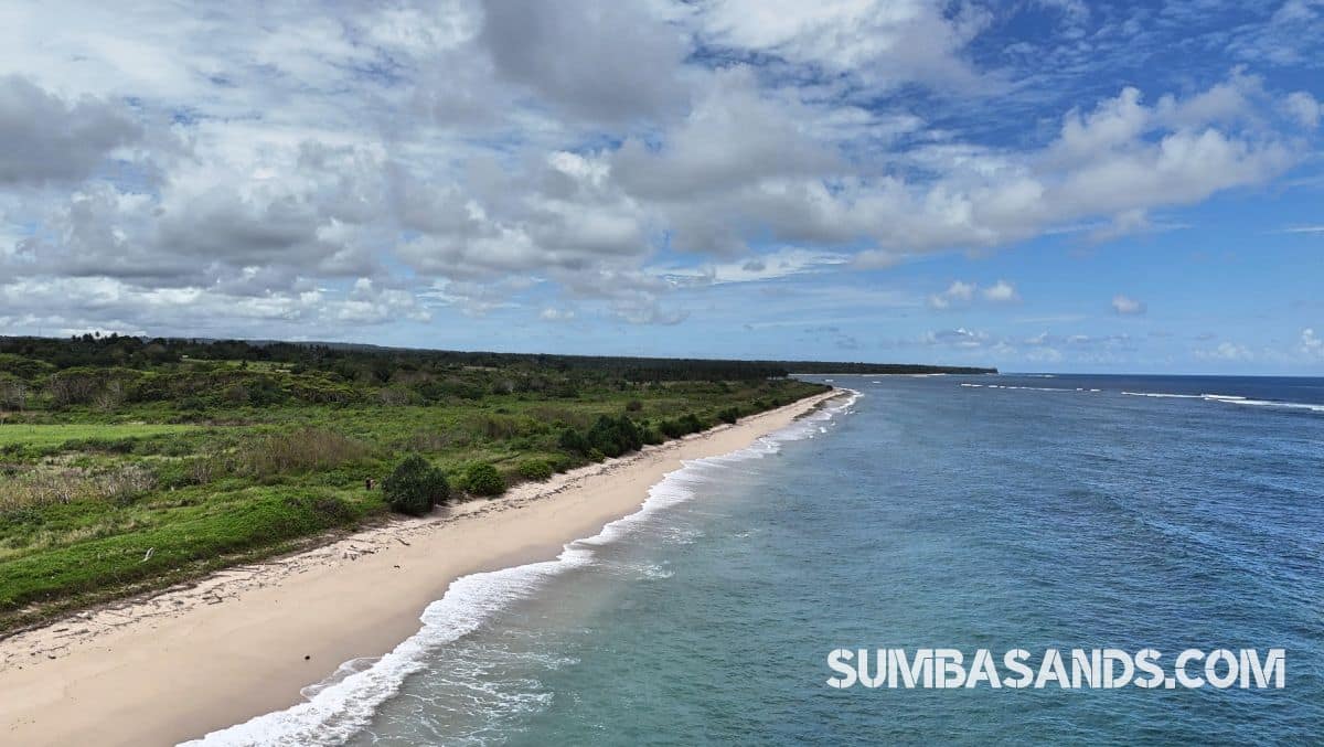 An aerial shot of the Ratenggaro Beach Access Plots. The image captures flat, lush land separated from the turquoise Indian Ocean by a government road in West Sumba.