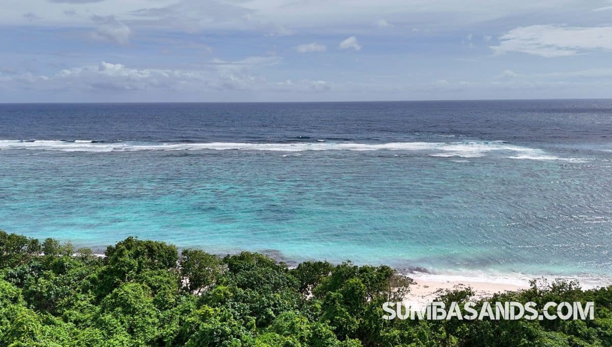 Pure beachfront. 0.5 hectares of untouched coastline for 25 per sqm.