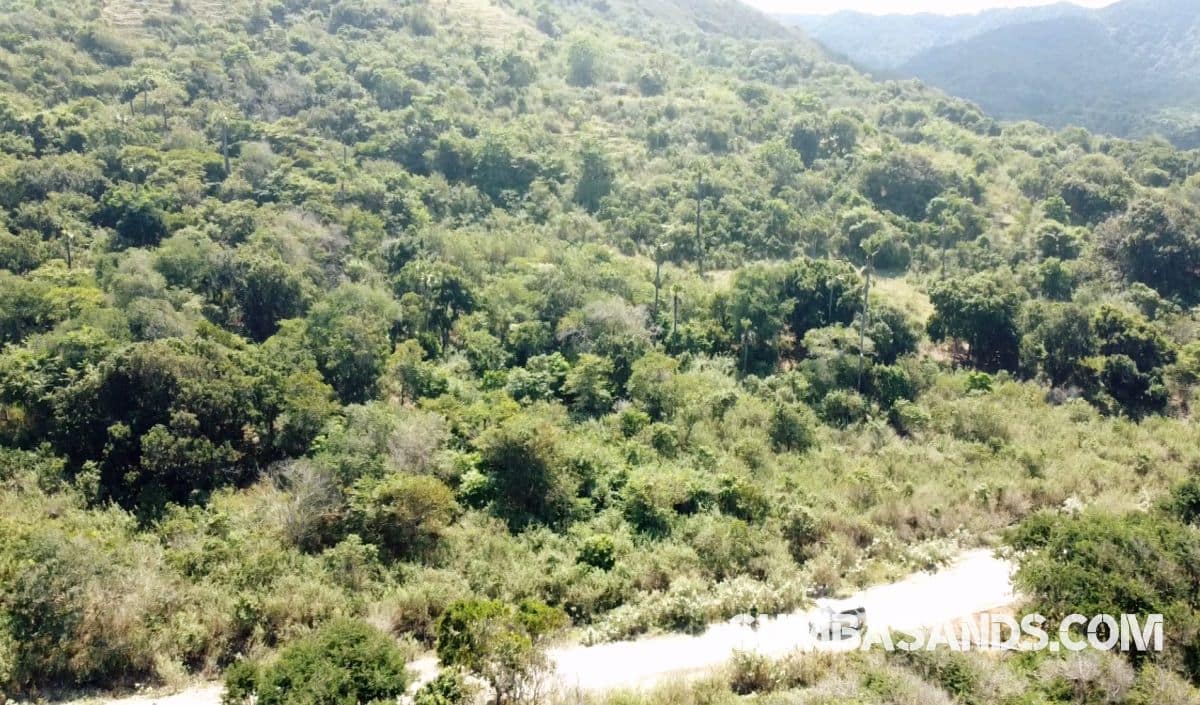 Southeast Sumba Surf Plots – 4 Beachfront Parcels for Sale