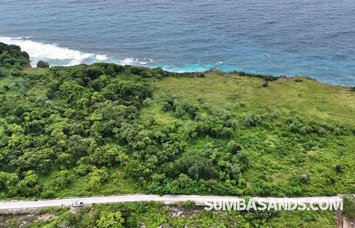 A high-resolution aerial view of two separate, rectangular land parcels situated next to each other within a dense green forest. A paved asphalt road borders the plots, leading toward the turquoise waters of Halete Beach.