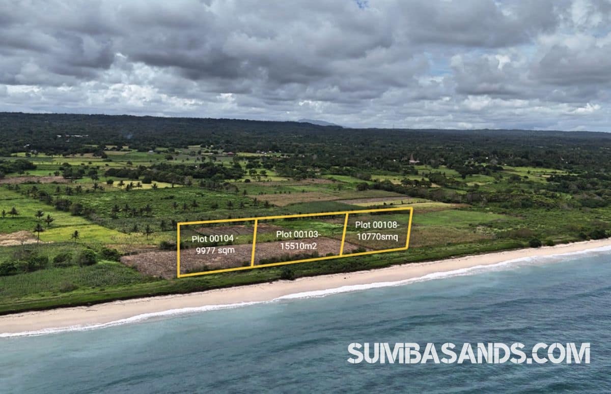 An aerial shot of the Ratenggaro Beach Access Plots. The image captures flat, lush land separated from the turquoise Indian Ocean by a government road in West Sumba.