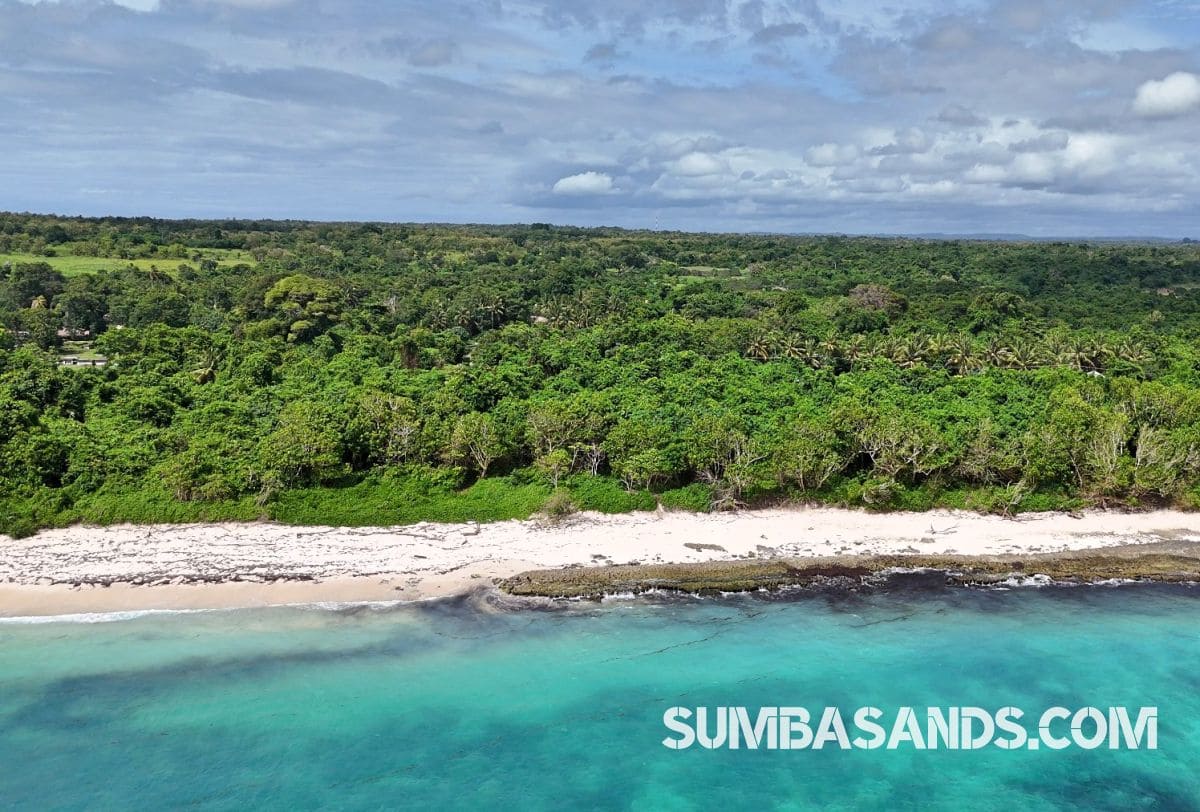 Pure beachfront. 0.5 hectares of untouched coastline for 25 per sqm.