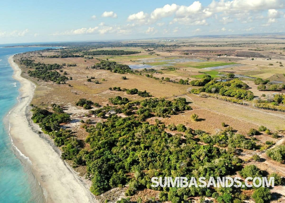 East Sumba Beachfront Investment Land – 2ha Ready-to-Build Plot on Kandora Beach