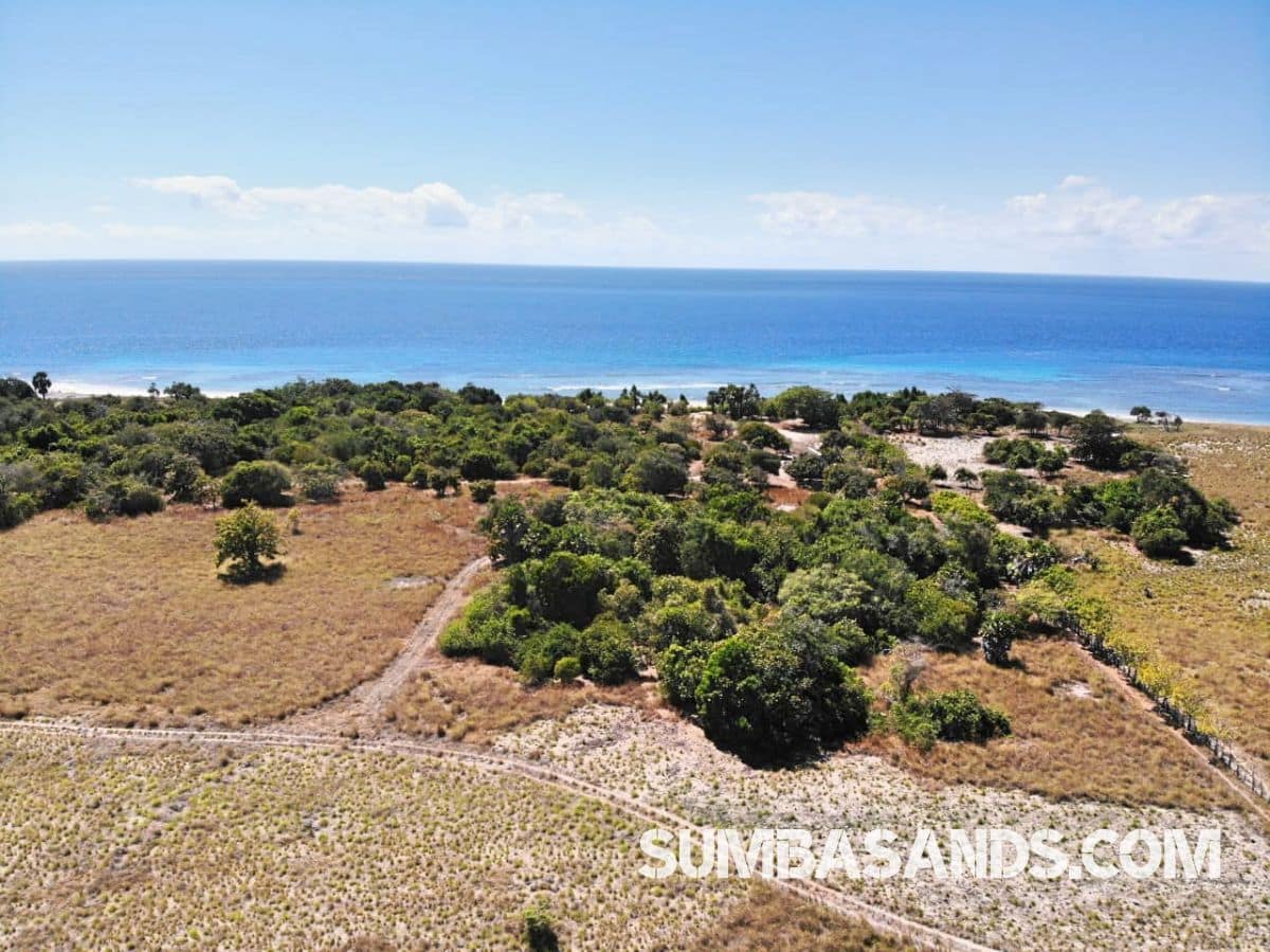 East Sumba Beachfront Investment Land – 2ha Ready-to-Build Plot on Kandora Beach