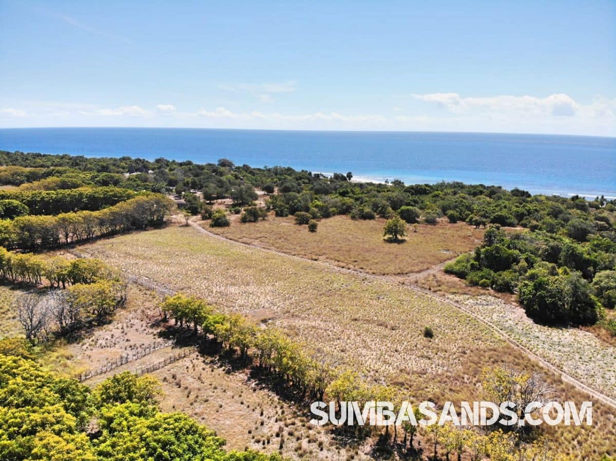 East Sumba Beachfront Investment Land – 2ha Ready-to-Build Plot on Kandora Beach