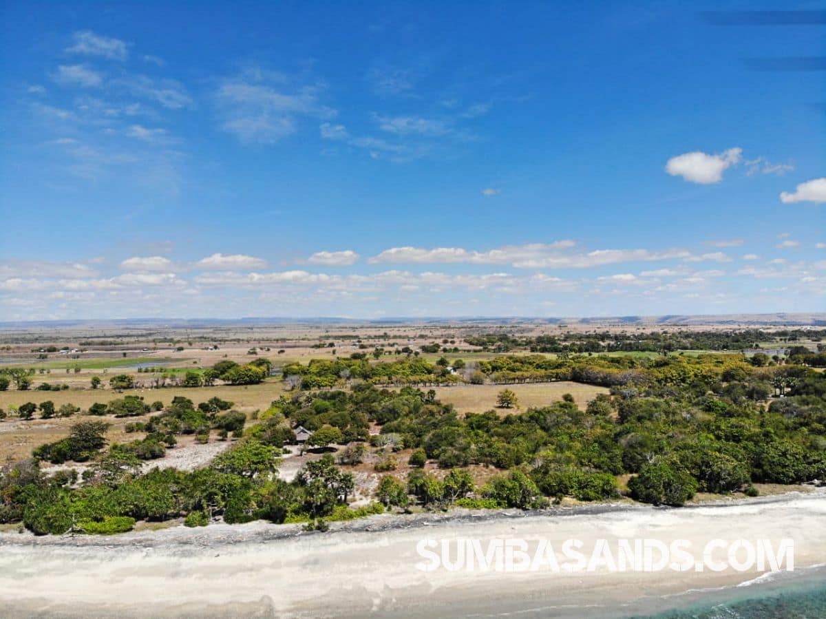 East Sumba Beachfront Investment Land – 2ha Ready-to-Build Plot on Kandora Beach