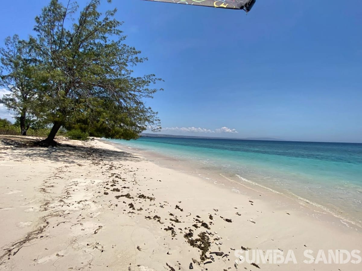 Hamba Praning 2ha beachfront land for sale in Sumba Indonesia