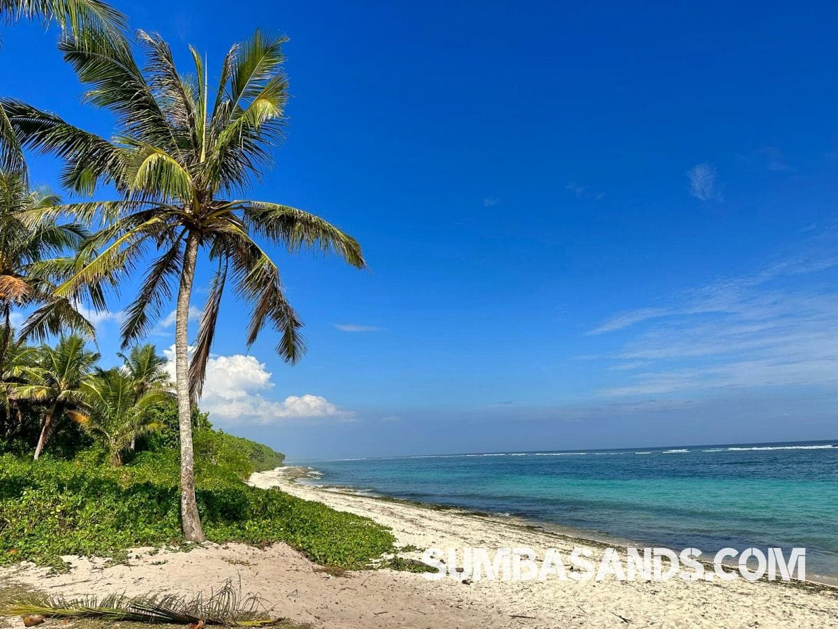 Pure beachfront. 0.5 hectares of untouched coastline for 25 per sqm.