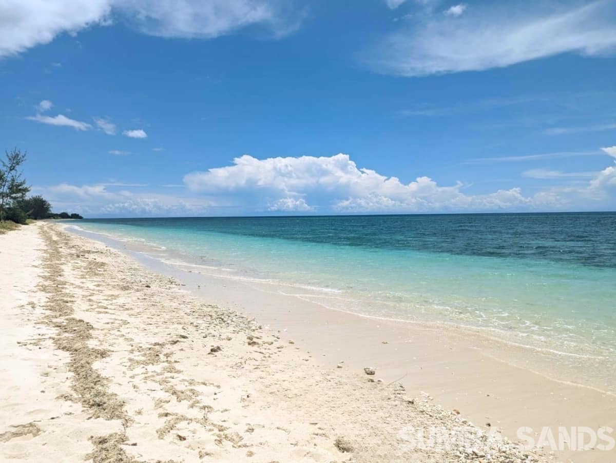 Own the last 2-hectare plot on the iconic Puru Kambera Beach, East Sumba. Flat, development-ready beachfront for EUR 210,000