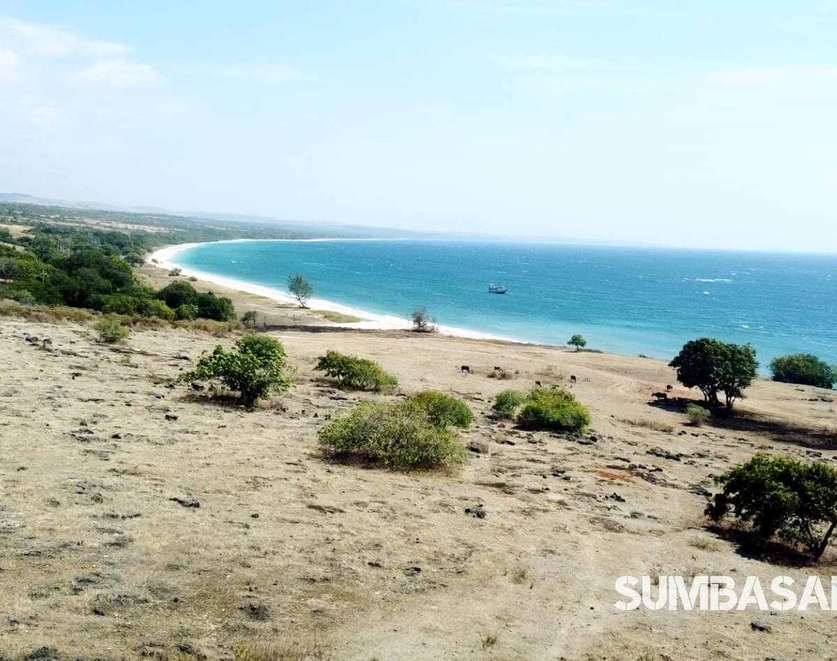 North Sumba Cliff Beachfront | 7ha Freehold Coastal Land in Indonesia