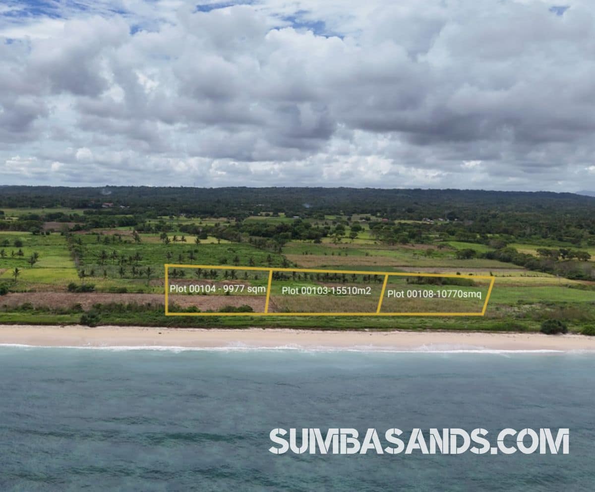 An aerial shot of the Ratenggaro Beach Access Plots. The image captures flat, lush land separated from the turquoise Indian Ocean by a government road in West Sumba.