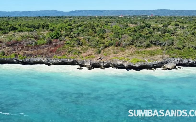 Sumba 3ha Cliff Land for Sale – Freehold Cliffside Plot
