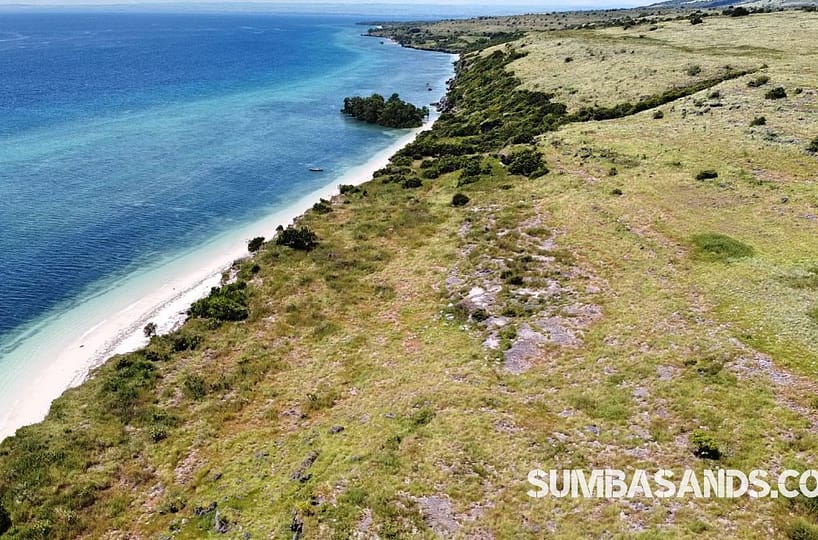 Elevated ocean-view parcel in Hamba Praing, East Sumba, overlooking the turquoise Puru Kambera coastline with direct beach access.