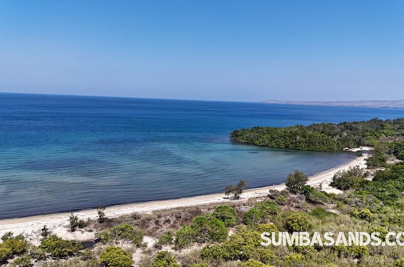 Affordable Sumba Beachfront Plots – 5,000 m² Freehold Land