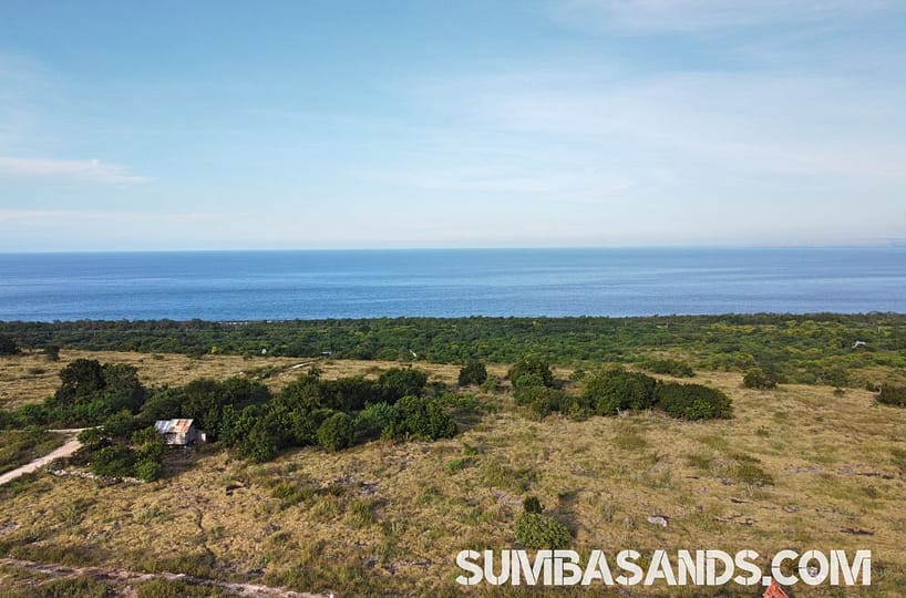 Hamba Praing oceanview land for sale: individual 1 hectare freehold hill plots ocean views near Waingapu, East Sumba.